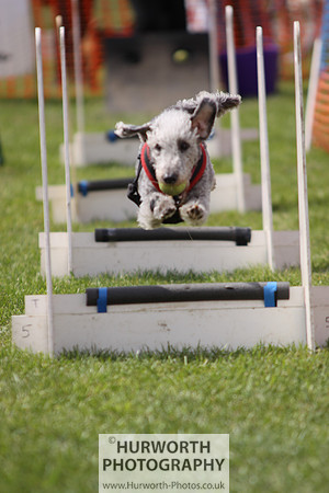 Sedgefield Game Fair 114