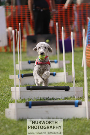 Sedgefield Game Fair 109