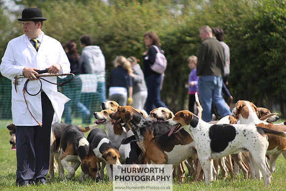 Sedgefield Game Fair 149