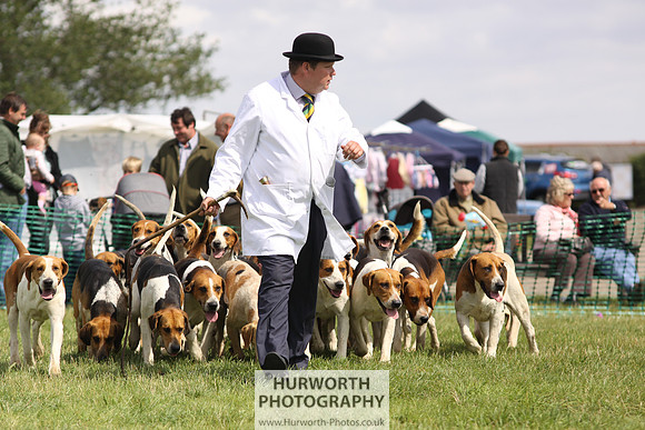 Sedgefield Game Fair 157