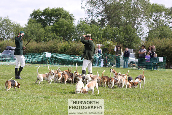 Sedgefield Game Fair 194