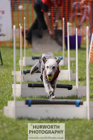 Sedgefield Game Fair 102