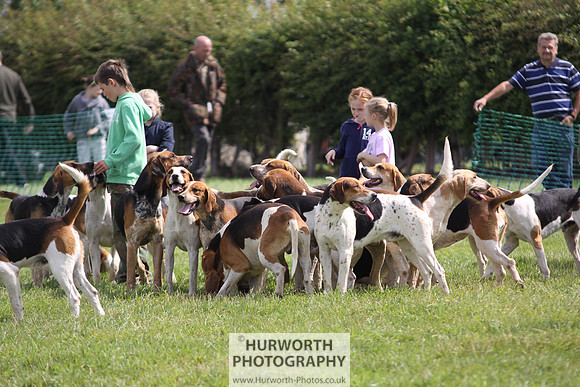 Sedgefield Game Fair 147