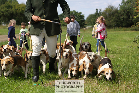 Sedgefield Game Fair 181