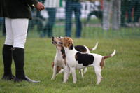 Sedgefield Game Fair 017
