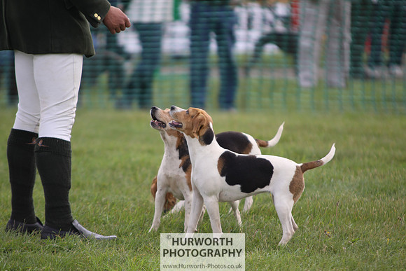 Sedgefield Game Fair 017