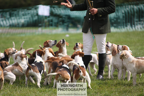 Sedgefield Game Fair 221