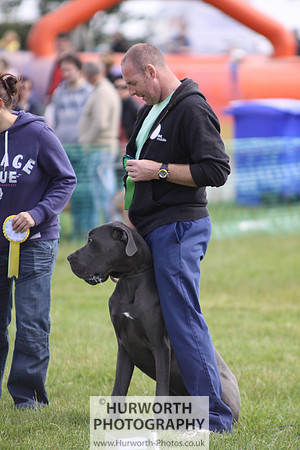 Sedgefield Game Fair 080