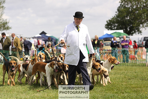 Sedgefield Game Fair 159