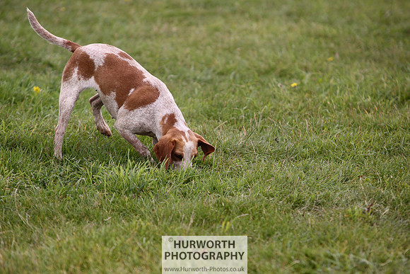 Sedgefield Game Fair 008