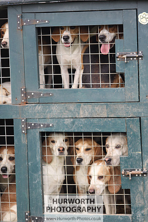 Sedgefield Game Fair 032