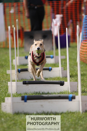 Sedgefield Game Fair 103