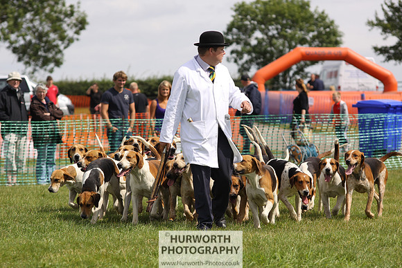 Sedgefield Game Fair 166