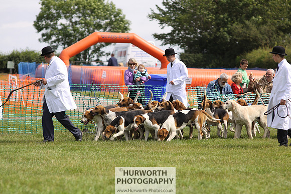 Sedgefield Game Fair 154