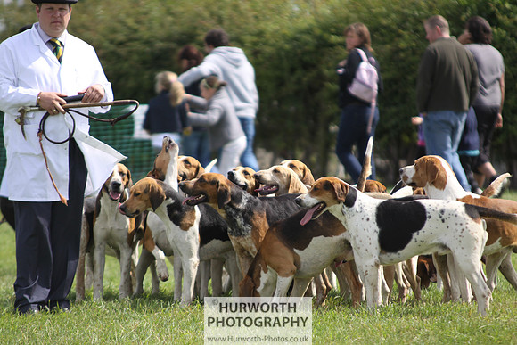 Sedgefield Game Fair 148