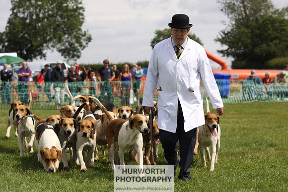 Sedgefield Game Fair 170