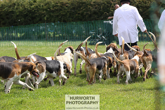 Sedgefield Game Fair 163
