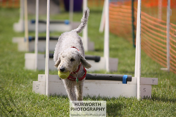 Sedgefield Game Fair 093
