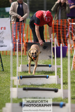 Sedgefield Game Fair 124