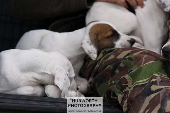 Sedgefield Game Fair 044