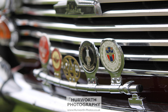 Sedgefield Game Fair 055