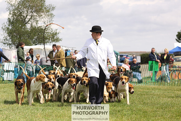 Sedgefield Game Fair 158