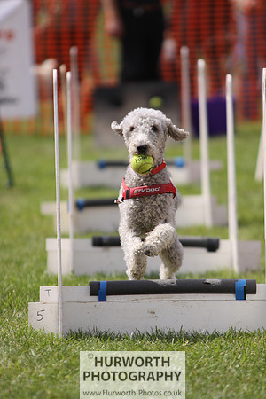 Sedgefield Game Fair 110