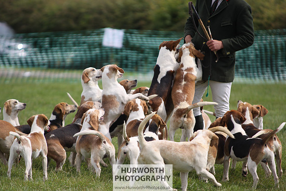 Sedgefield Game Fair 210