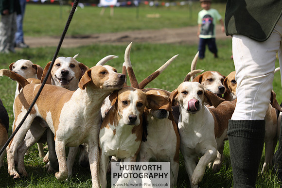 Sedgefield Game Fair 184