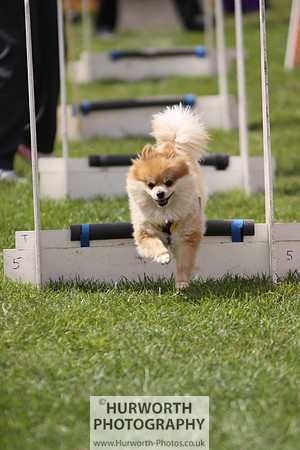 Sedgefield Game Fair 117