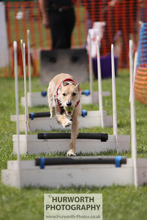 Sedgefield Game Fair 104