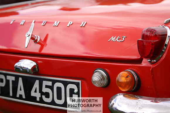 Sedgefield Game Fair 060