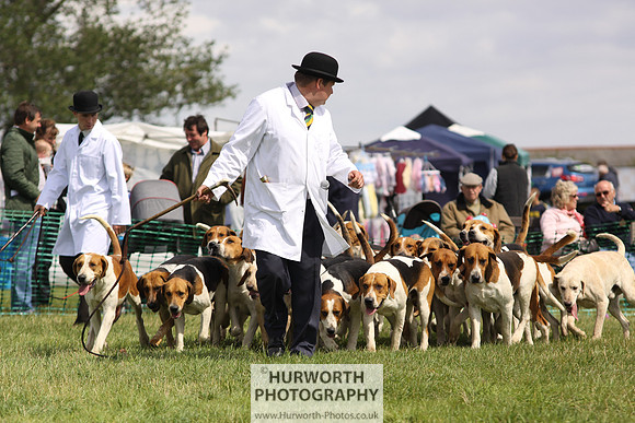 Sedgefield Game Fair 156