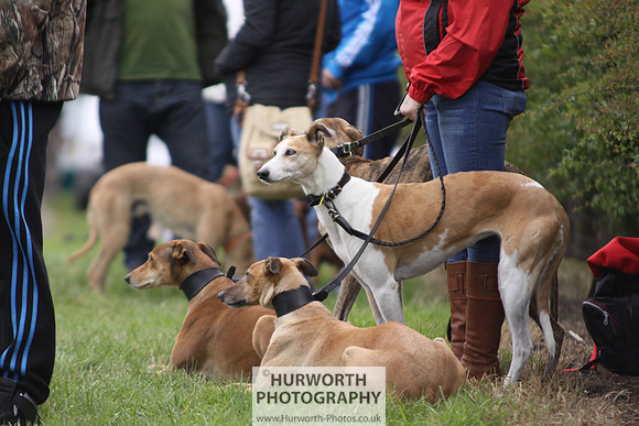 Sedgefield Game Fair 072
