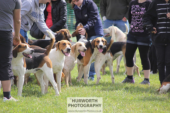 Sedgefield Game Fair 128
