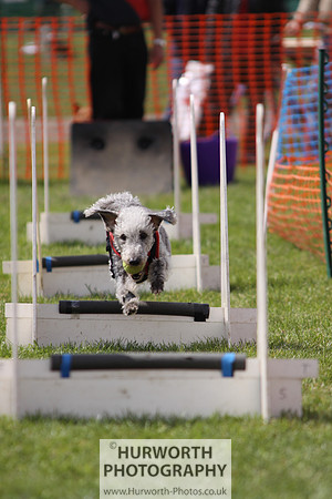 Sedgefield Game Fair 106