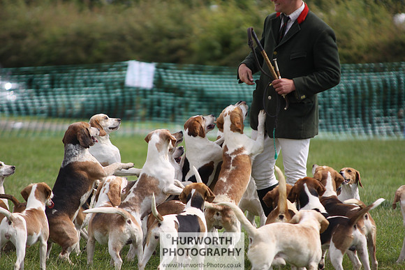 Sedgefield Game Fair 212