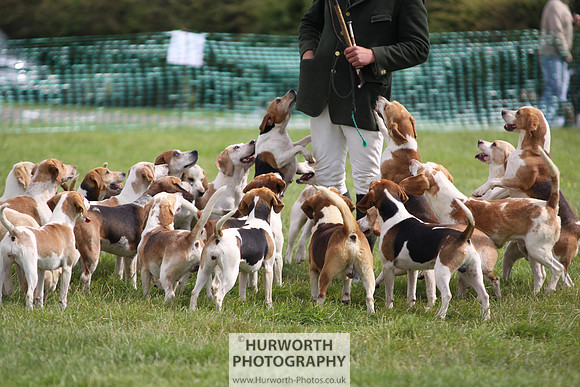 Sedgefield Game Fair 207