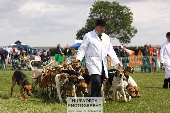 Sedgefield Game Fair 160