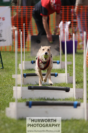 Sedgefield Game Fair 112
