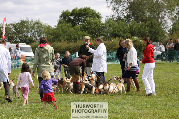 Sedgefield Game Fair 229