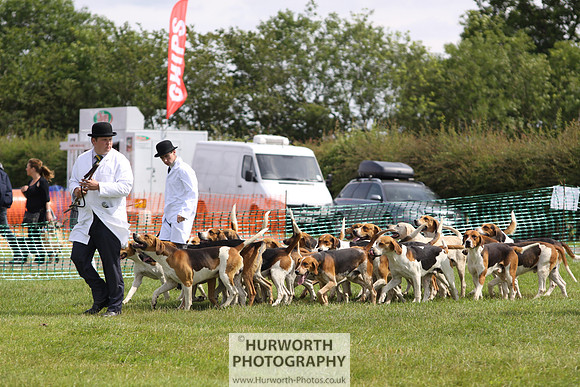 Sedgefield Game Fair 165