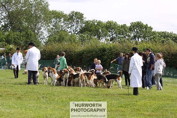 Sedgefield Game Fair 144