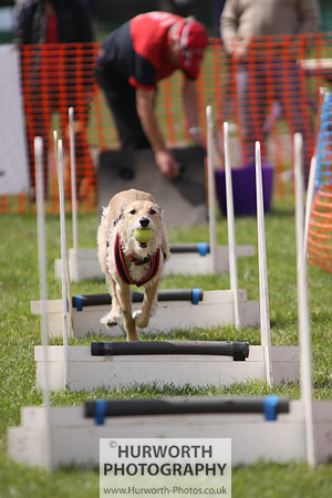 Sedgefield Game Fair 099