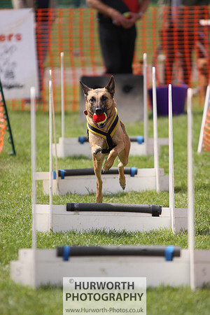 Sedgefield Game Fair 119