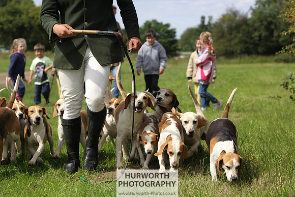 Sedgefield Game Fair 182