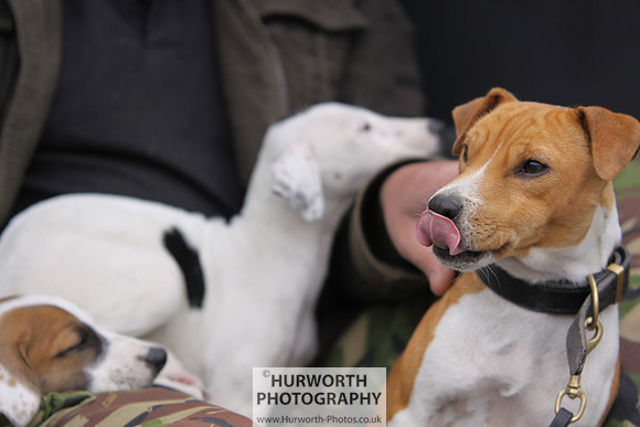 Sedgefield Game Fair 045