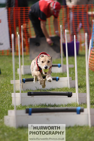 Sedgefield Game Fair 100