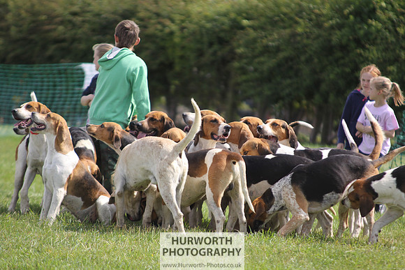 Sedgefield Game Fair 143