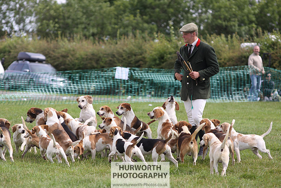 Sedgefield Game Fair 215